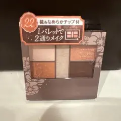 CANMAKE 【廃盤品】パーフェクトスタイリストアイズ 22 普通郵便　④