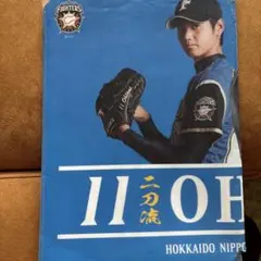 2026年最新】大谷翔平 クリアファイル ファイターズの人気アイテム