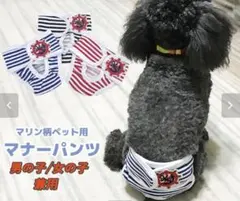 Item thumbnail for item fef7c124-1055-42c2-95df-fd412ddb110a