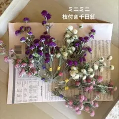 枝付き　千日紅　ドライフラワー　ミニミニ③