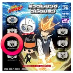 家庭教師ヒットマンREBORN ボンゴレリングコレクション　雨のボンゴレリング