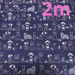 シーチング★２枚限り★わんちゃん★ネイビー★