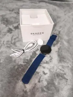 SKAGEN SIGNATUR メンズシルバーALLSTAINLESS - メルカリ