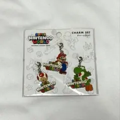 USJ ユニバ ニンテンドーワールド マリオチャームセット