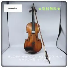 2026年最新】GLIGA バイオリン 4/4の人気アイテム - メルカリ