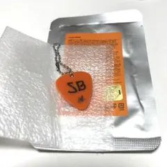 txt スビン MOACON モアコン　ラキドロ ピックキーリングのサムネイル