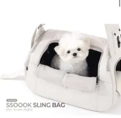2026年最新】ssoook slingbagの人気アイテム - メルカリ