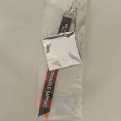 コンサドーレ札幌 ボンフィン　11/29 愛媛戦