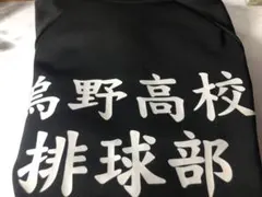 ハイキュー 鳥野高校 排球部 10周年記念 ジャージ上 XLサイズ