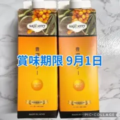 sajiberry 豊潤サジー 1000ml 3本セット - メルカリ