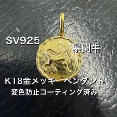 獅子王 ライオン コインペンダント LEO SV925 変色防止済 *新品 - メルカリ