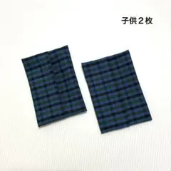 Item thumbnail for item ea5d298b-46dc-405b-85d6-dcce67df4115