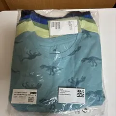 恐竜Tシャツ　5枚セット　サイズ110 H&M
