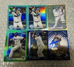 Item thumbnail for item 695489dd-f2e4-4993-ae68-80e9f2c70a2d