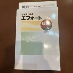 エフォート　社会A