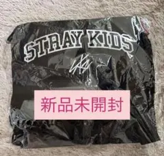 新品未開封 StrayKids スキズ dominate エコパ アプグレ 特典