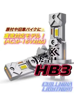 HB3 LED K55 ヘッドライト 爆光 6500K 交流 直流 対応 BZ1のサムネイル