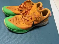 Nike エアズーム　テラカイガー　ランニングシューズ 27.5cm US9.5