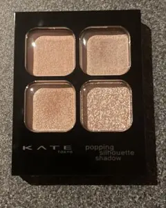 KATE ポッピングシルエットシャドウ　OR-2