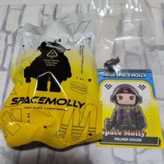 MEGA SPACE MOLLY PALMER HOUSE