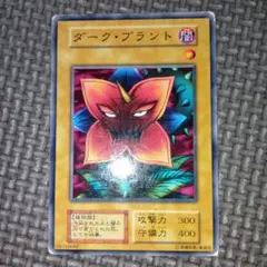 ダーク・プラント