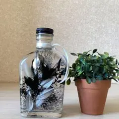 ハーバリウム　シンプル　ウィスキー　ブラック
