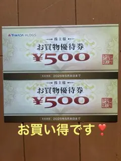 株主優待券❣️　ヤマダ電機