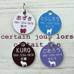 Item thumbnail for item ce5803ca-9d73-42e0-9bf0-5f4b33a185f3