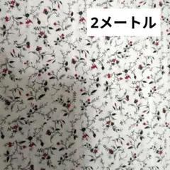 ドビー生地　110×200センチ