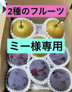 ミー様　２箱★ フルーツ2種★ 幸水梨と太陽プラム　60サイズ箱✖️２箱 ミー様 2箱☆ フルーツ2種☆ 幸水梨と太陽プラム 60サイズ箱✖️2箱