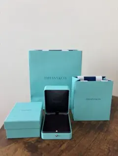 Tiffany & Co. ネックレス用 空箱 ショッパーセット