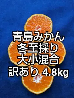 ⑨♢青島みかん冬至採り大小混合訳あり4.8kg箱込2880円
