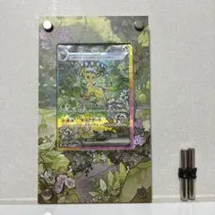 S*r様 リーフィアex SAR ハイクラスパック テラスタルフェス ブイズ　額