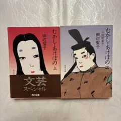 むかし・あけぼの 上下巻 田辺聖子 角川文庫