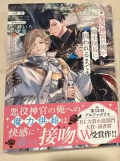 bl小説 文学・小説