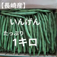 【長崎産】いんげん（1キロ）のサムネイル