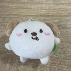 RIIZE ぬいぐるみ マスコット アントン モンリョンイ - メルカリ