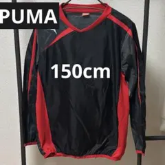 ★セット割対象 PUMAウィンドブレーカー ピステ 150cm