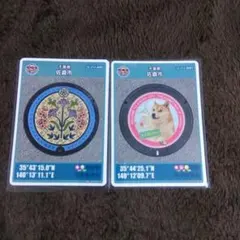 Item thumbnail for item 99531340-ec32-4282-aa1b-ee0fafc8f7b0