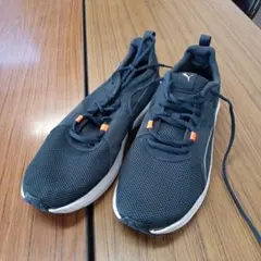 Item thumbnail for item 766d39b1-6638-428d-acf8-04accdbf4357