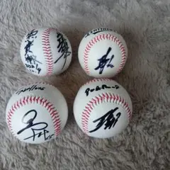 サインボール 野球ボール