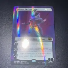 Item thumbnail for item 530de5a8-a425-4f60-b6da-b10f38d0fffc