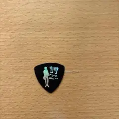 BOOWY 布袋寅泰 FERNANDES ギター ピック - メルカリ