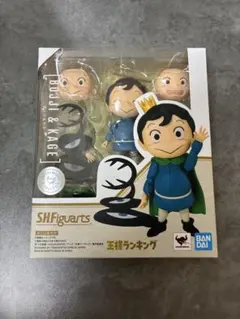 SHFiguarts ボッジ　カゲ フィギュアのサムネイル