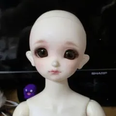 SDM　詳細不明