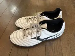 ミズノ　モナルシーダ　MIZUNO トレシュー　トレーニングシューズ　25.0