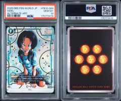 ビーデル　PSA10