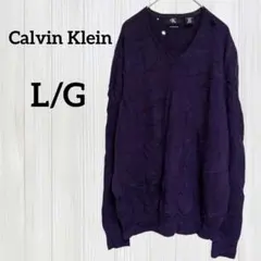 難あり CalvinKlein【L/G】メリノウール Vネックセーター パープル