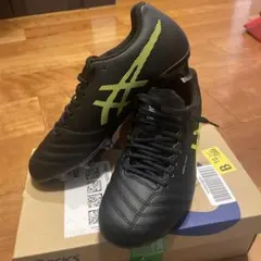 24.0cm ASICS DS LIGHT X-Fly Proスパイクのサムネイル