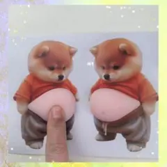 《新品》柴犬 お腹デザイン ステッカー 2枚セット（2頭）